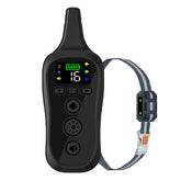 Electric Shock Collar