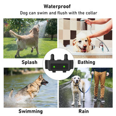 Electric Shock Collar