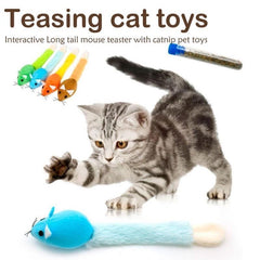 Teasing Cat Toys