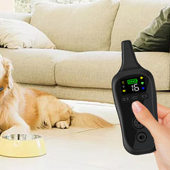 Electric Shock Collar