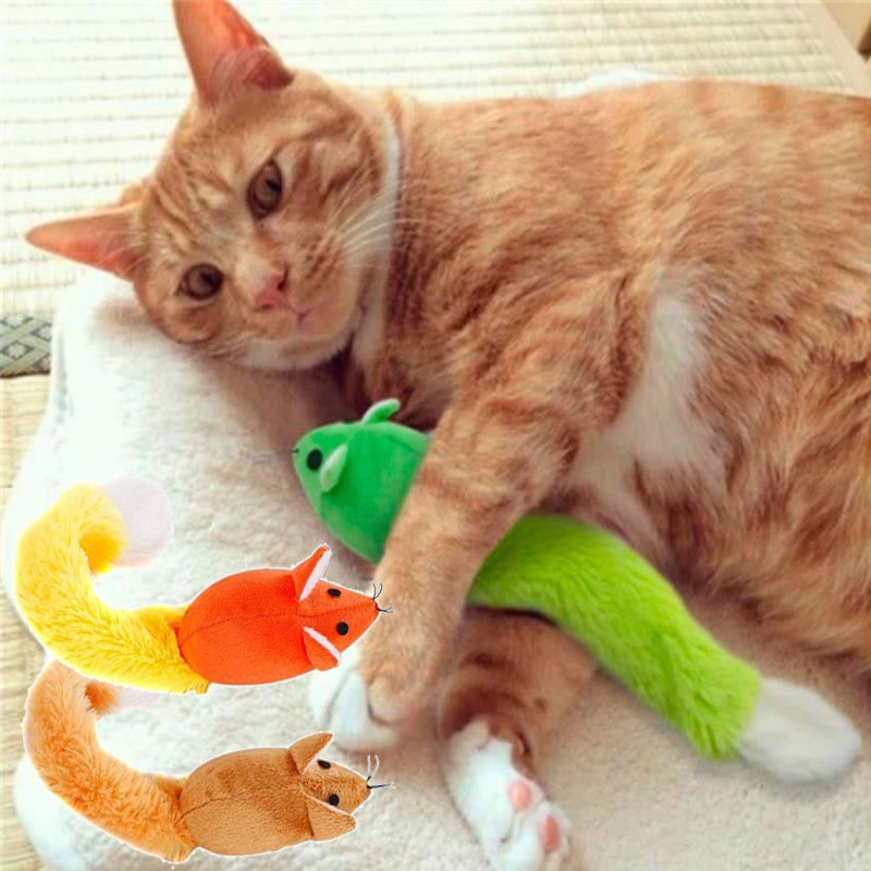Teasing Cat Toys