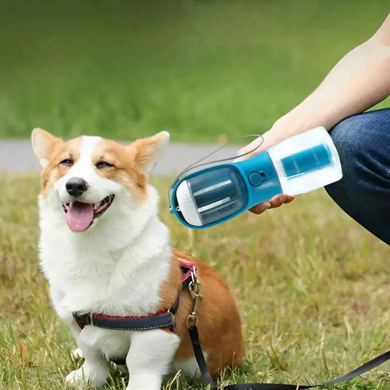 Three In One Pet Cup & Supplies