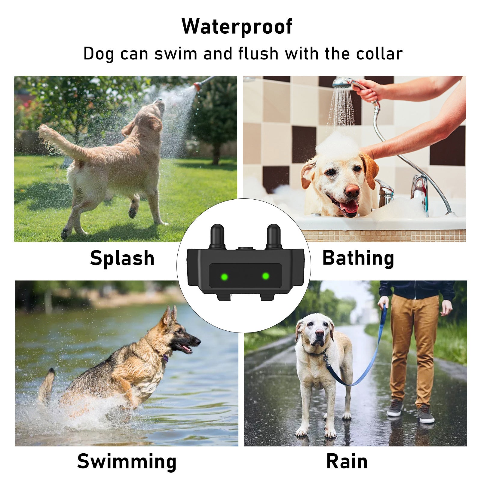 Electric Shock Collar