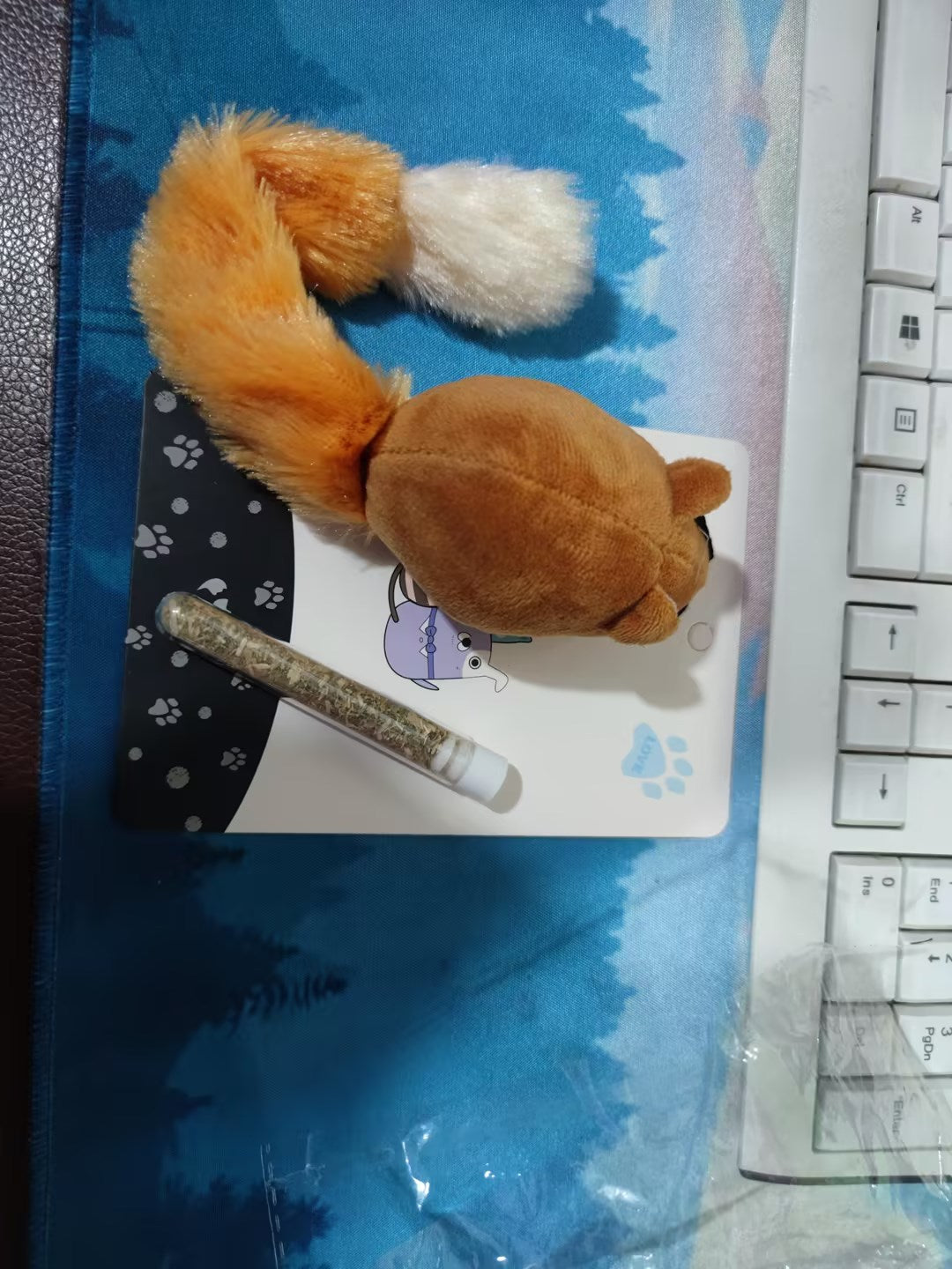 Teasing Cat Toys